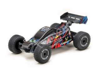 1:24 EP 2WD Racing Buggy 