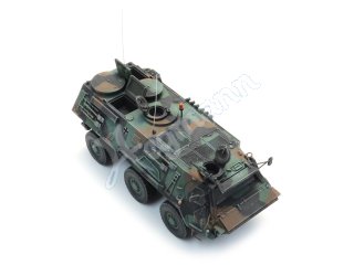 BRD TPz Fuchs Pionier Gruppe 