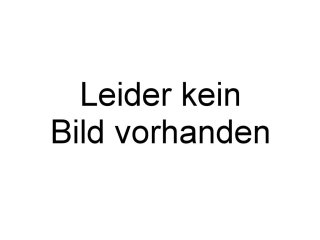 Die batteriebetriebene grüne Lok kann vorwärts oder rückwärts fahr