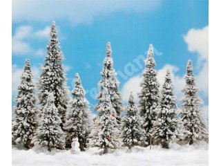 10 weiße Wintertannen (60 - 135 mm hoch), davon 1 Weihnachtsbaum m