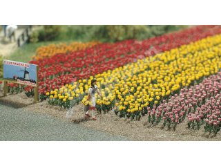 Bausatz für 120 Tulpen in fünf unterschiedlichen Farben (einschlie