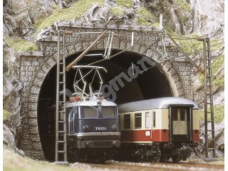 2 Stück, zweigleisig, für Oberleitungsbetrieb geeignet. Mit Tunnel