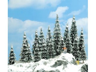 Ca. 60-135 mm hoch. Für die Bepflanzung von schneebedeckten Berggi