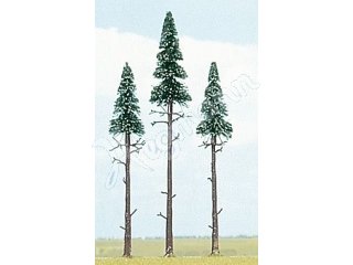 3 Fichten, 140-170mm H0