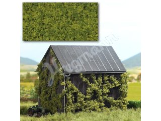 Foliage hell-/mittelgrün