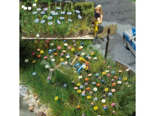 Bausatz für 120 blühende Sommerblumen in verschiedenen Farben: wei