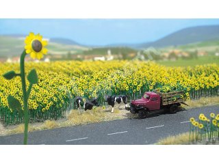 Bausatz für 60 naturgetreue Sonnenblumen (einschließlich Grundplat