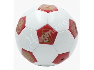 FC Bayern 125 Jahre Jubiläums-Artikel