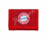 FC Bayern Fan-Artikel
