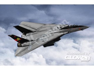 Trumpeter 03918 F-14B Tomcat