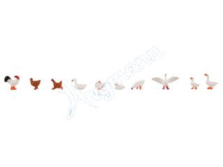 H&uuml;hner, Enten und G&auml;nse