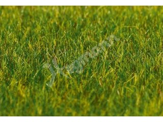 FALLER 180485 PREMIUM Streufasern, Gras, dunkelgrün, 6 mm, 30 g
