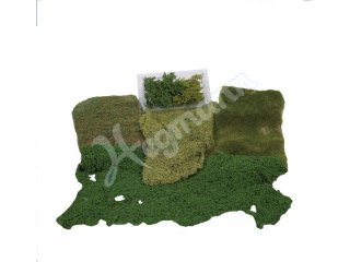 Renovierungs- und Dekorations