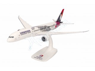 B787-9 Hawaiian Airlines