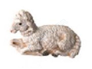 Schaf liegend