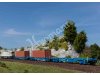 Container-Tragwagen Bauart Sgnss