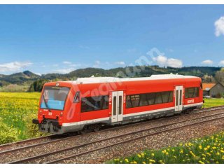 Dieseltriebwagen Regio Shuttle RS1, Baureihe 650