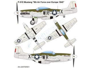 ARSENAL-M miniTank 224700501 P-51D MUSTANG Texas-Terror IV 8th USAAF