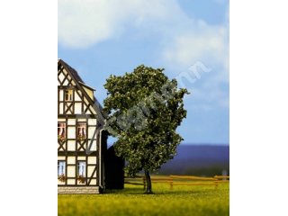 BIRNBAUM GRÜN