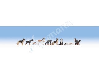 Hunde