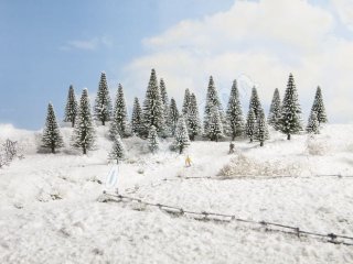Schneetannen, 10 Stück, 5 - 1