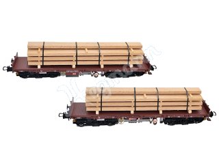 NPE NW22410 H0 1:87 Holztransport DBAG, Epoche V/VI