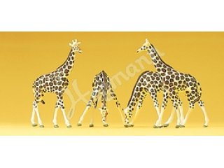GIRAFFEN