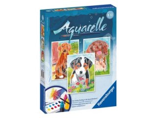 Serie: Aquarell-Malen Midi / 3 Aquarellkartons, 5 Aquarell-Farbflä