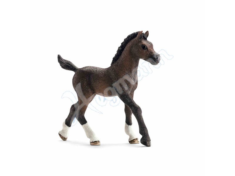 Araber Fohlen 0 Schleich 13762 Miniaturfigur En Zum Sammeln Oder Spielen Schleich 13762