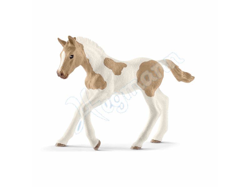 Paint Horse Fohlen Schleich 13886 Miniaturfigur En Zum Sammeln Oder Spielen Schleich 13886