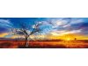 Schmidt-Spiele 59287 Desert Oak at Sunset, Northern Territory, Australia, Panoramapuzzle