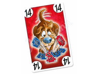 Schmidt-Spiele 75019 DOG® Cards
