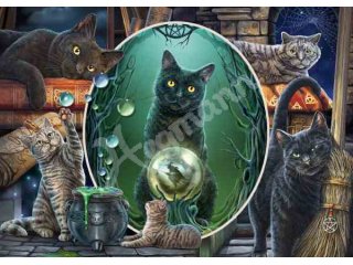 Schmidt-Spiele 59665 Magische Katzen