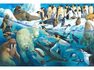 Schmidt-Spiele 56295 Tiere am Polarkreis, 100 Teile