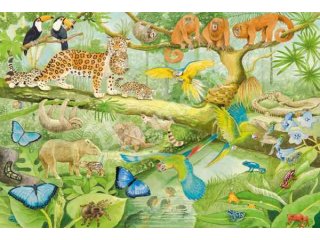 Schmidt-Spiele 56250 Tiere im Regenwald, 100 Teile