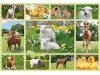 Schmidt-Spiele 56194 Tierkinder auf dem Bauernhof, 100 Teile