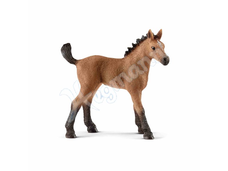 Quarter Horse Fohlen Schleich 13854 Miniaturfigur En Zum Sammeln Oder Spielen Vedes 13854